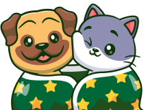Dog and cat resting safely indoors